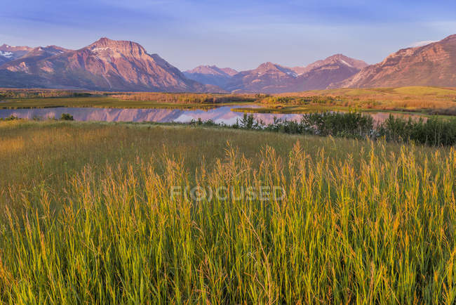 Prairie prado, lago e montanhas, Waterton Lakes National Park, Alberta, Canadá — Fotografia de Stock