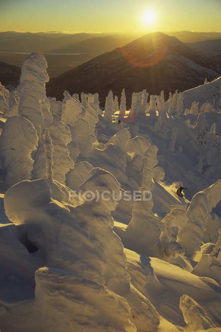 Sciatore godersi il tramonto nel backcountry di Fernie Resort, Lizard Range, British Columbia, Canada — Foto stock