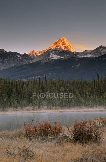 Landschaft des Mount Edith Cavell aus Fryatt-Teichen, Jaspis-Nationalpark, Alberta, Kanada — Stockfoto