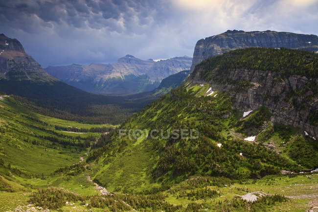 Green valley of Logan Pass in Glacier National Park, Montana, États-Unis
. — Photo de stock