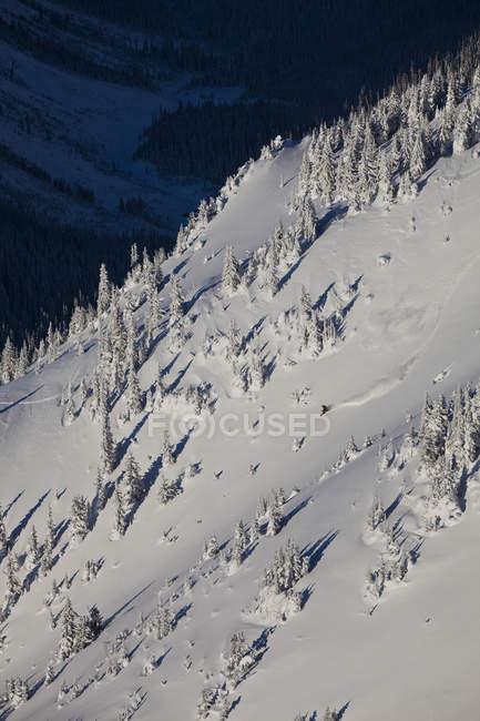 Backcountry snowboarder splitboarding em Kicking Horse Resort, Golden, British Columbia, Canadá — Fotografia de Stock