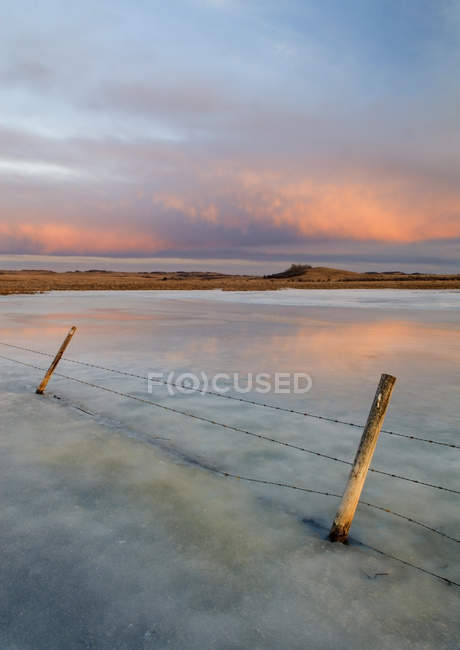 Frozen slough and fence near Cochrane, Alberta, Canadá — Fotografia de Stock