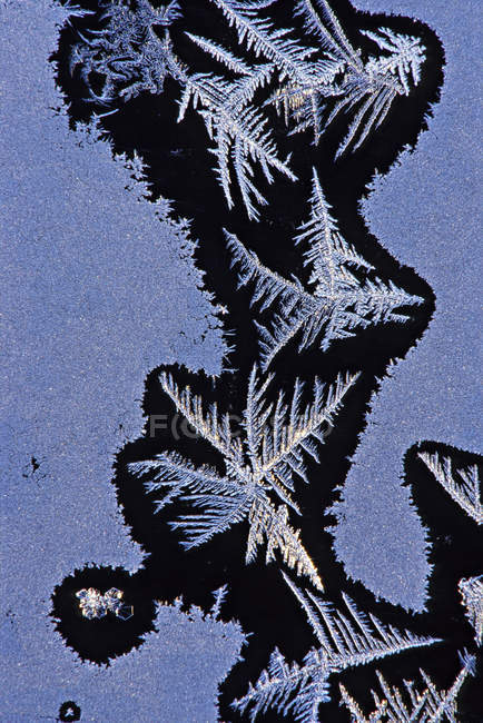 Close-up do padrão de cristais de geada no vidro da janela — Fotografia de Stock