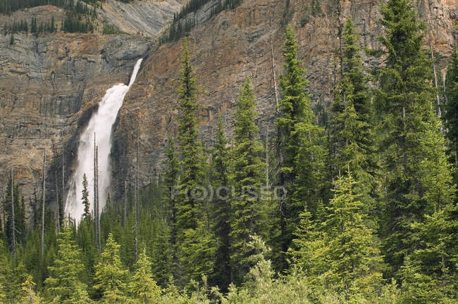 Flowing water of Takakkaw Falls in mountain cliff of Yoho National Park, British Columbia, Canada — Stock Photo