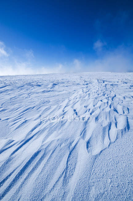 Derive di neve causate dal vento nel Saskatchewan meridionale, Canada — Foto stock