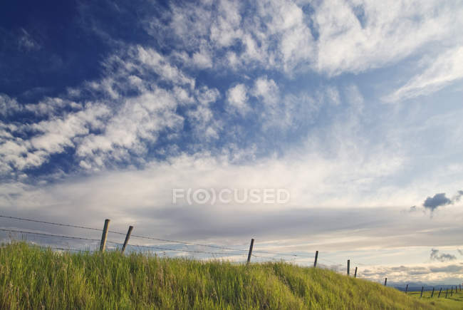 Linha de cercas de prados verdes perto de Cochrane, Alberta, Canadá — Fotografia de Stock