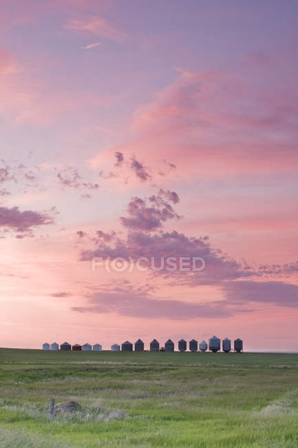 Graininess with grain silos near Leader, Saskatchewan, Canada — Stock Photo