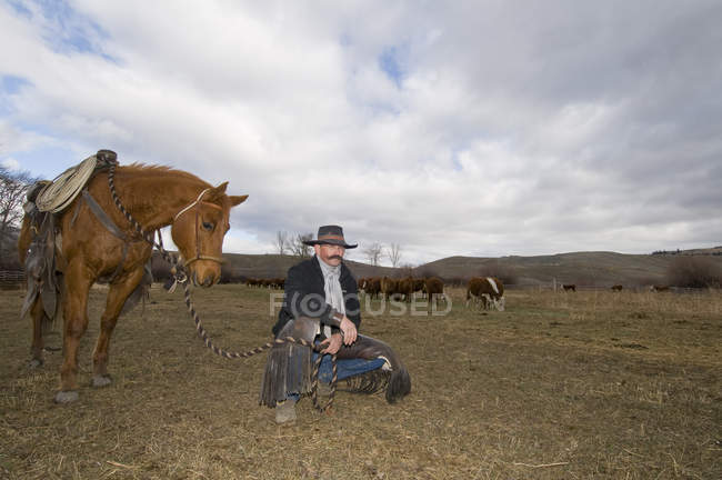 Cowboy with horse watching herd of cows on ranch near Merritt, British Columbia, Canada — Stock Photo