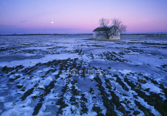 Full moon and stubble field near Devon, Alberta, Canada — Stock Photo