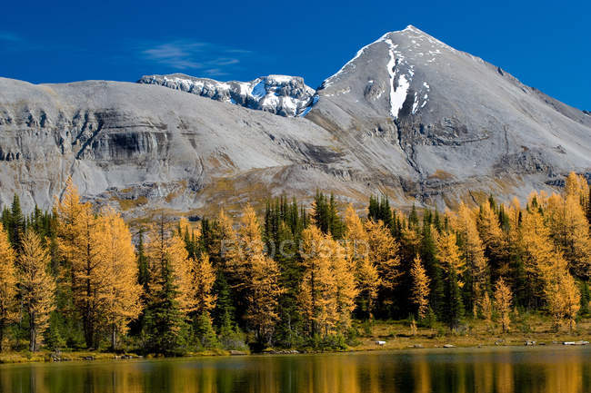 Foresta autunnale e riflessione lacustre sulle montagne del Citadel Pass Trail, British Columbia, Canada — Foto stock