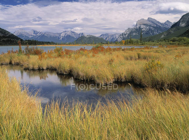 Sumpfgras auf zinnoberroten Seen, Banff-Nationalpark, Alberta, Kanada. — Stockfoto