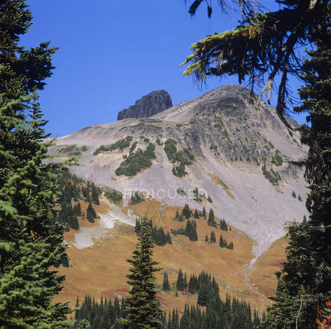 Schwarzer Stratovulkan in der Landschaft des Garibaldi Provinzparks, Britische Kolumbia, Kanada. — Stockfoto