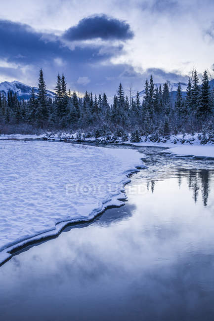 De manhã cedo no riacho perto de Canmore, Alberta, Canadá — Fotografia de Stock