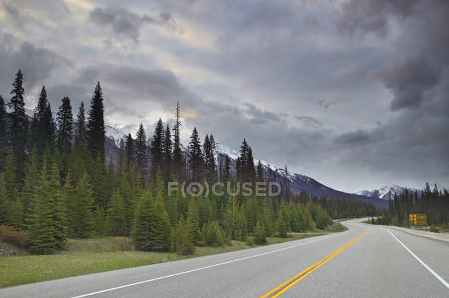 Leerer kootenay parkway durch wald an der zinnoberroten kreuzung, kootenay nationalpark, britisch columbia, kanada — Stockfoto