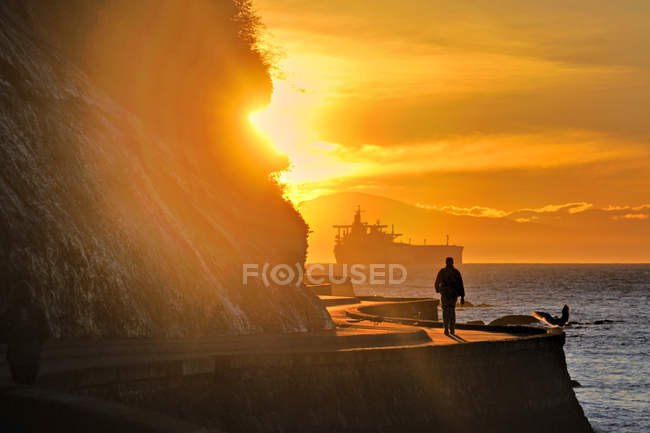 Silhouette di persona passeggiando sulla diga di Stanley Park al tramonto, Vancouver, British Columbia, Canada — Foto stock