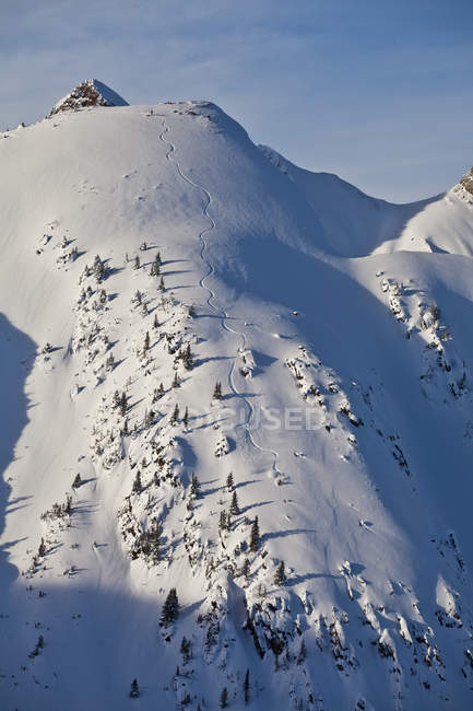 Гора Hing Horse Resort and backcountry snowboard ried steep line, Golden, Британская Колумбия, Канада — стоковое фото