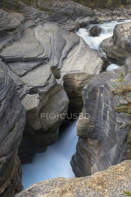 Докладно Mistaya Каньйон Національний парк Банф, Альберта, Канада — стокове фото