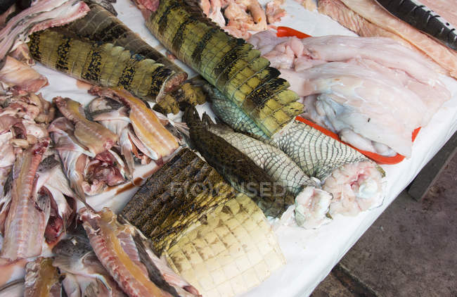 Various food and crocodile meat in market scene of Iquitos in Peru — Stock Photo