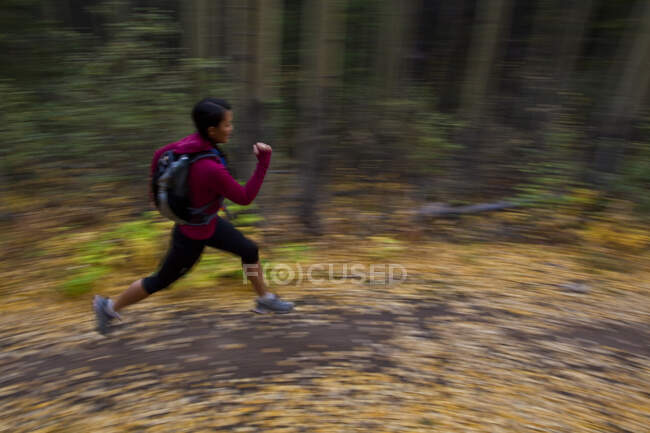 A young, fit woman trail running the Highline trail in Canmore, AB — Stock Photo