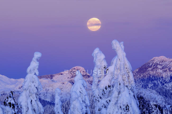 Puesta de la luna al amanecer en invierno, Mount Seymour Provincial Park, Columbia Británica, Canadá - foto de stock