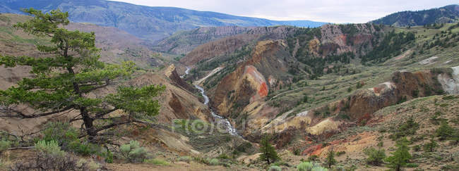 Aerial view of river in Churn Creek Canyon, British Columbia, Canada. — Stock Photo