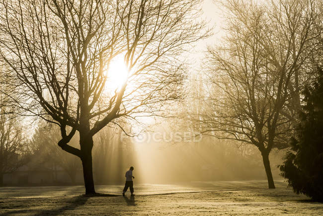 Hombre corriendo a través de John Hendry Park al amanecer, Vancouver, Columbia Británica, Canadá - foto de stock