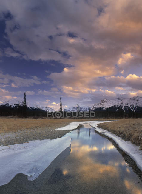 Río Saskatchewan Norte en paisaje invernal de las llanuras de Kootenay, Alberta, Canadá - foto de stock