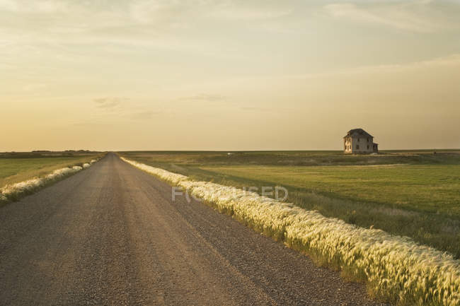 Estrada e casa rural perto de Leader, Saskatchewan, Canadá — Fotografia de Stock