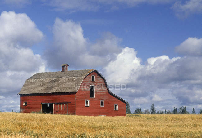Old wooden barn in farmland near Devon, Alberta, Canada — Stock Photo