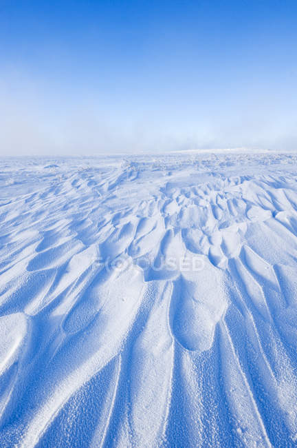 Derivadas de neve varridas pelo vento na pradaria congelada do sul de Saskatchewan, Canadá — Fotografia de Stock