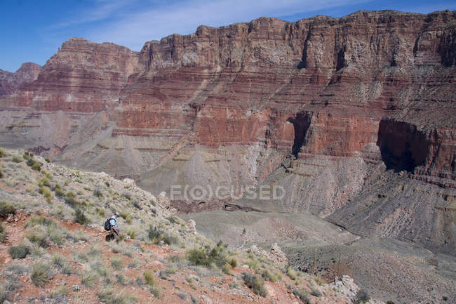 Caminhante masculino no Tanner Trail by Colorado River, Grand Canyon, Arizona, Estados Unidos da América — Fotografia de Stock