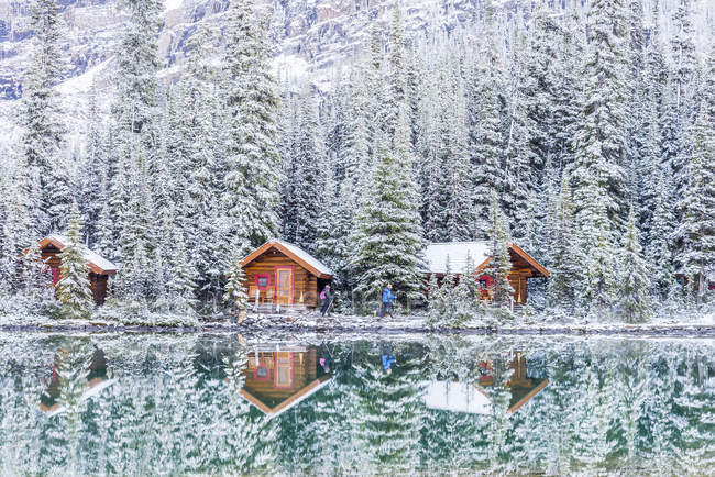 Neuschnee auf Hütten am ohara see, yoho nationalpark, britisch columbia, canada — Stockfoto