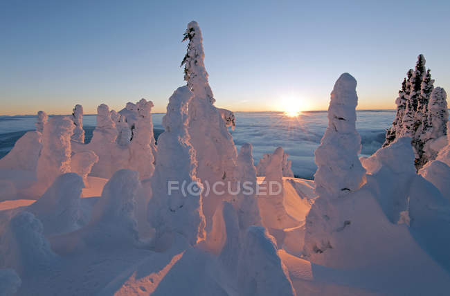 Snow ghosts at sunrise at Sun Peaks Resort, Thompson Okangan region, British Columbia, Canada — Stock Photo