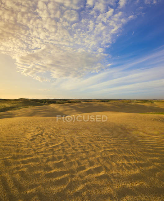 Detalle de Great Sandhills cerca de Leader, Saskatchewan, Canadá . - foto de stock