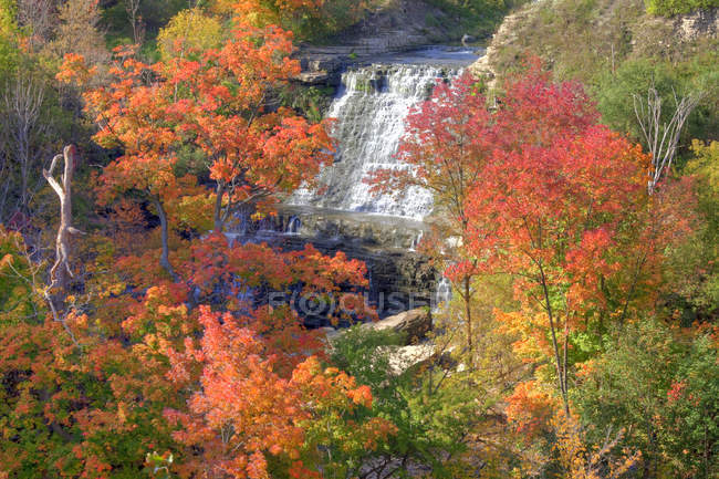 Albion Falls nella scarpata autunnale del Niagara dell'Ontario, Canada — Foto stock
