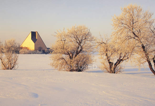 Hoarfrost on trees in wintertime with Royal Canadian Mint building, Winnipeg, Manitoba, Canada — Stock Photo