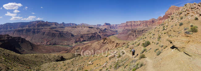 Mann wandert im Tal am Colorado-Fluss, Grand Canyon, arizona, Vereinigte Staaten — Stockfoto