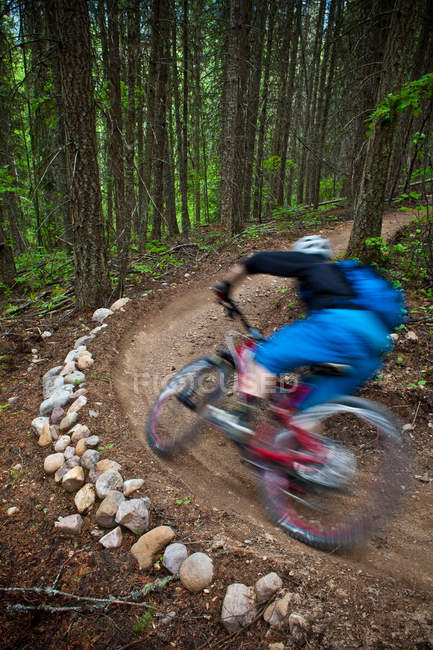 Male mountain biker riding Moonraker cross country trail near Golden, Canada — Stock Photo