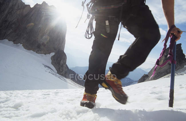 Bassa sezione di uomo alpinismo nel backcountry di Alberta, Canada . — Foto stock