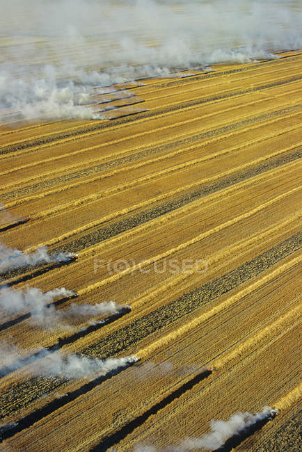 Aerial view of residual crops burning in Manitoba, Canada. — Stock Photo