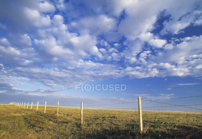 Ligne de clôture et parcours près de Milk River, Alberta, Canada . — Photo de stock