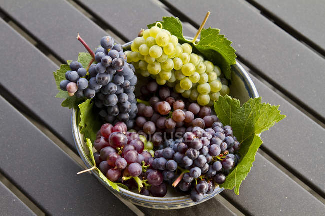 Стиглі Gewurtztraminer, Піно Нуар, Мерло та Шардоне виноград укладаються в відро на дерев'яні таблиці. — стокове фото