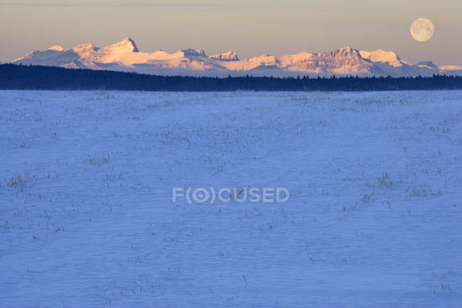 Schneebedeckte Weide bei Vollmond und felsige Berge im Wassertal, Alberta, Kanada. — Stockfoto