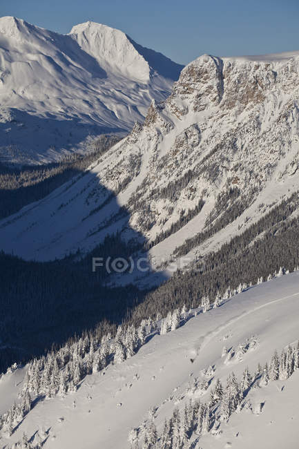 Загородный сноубордист на горнолыжном курорте в Голдене, Британская Колумбия, Канада — стоковое фото