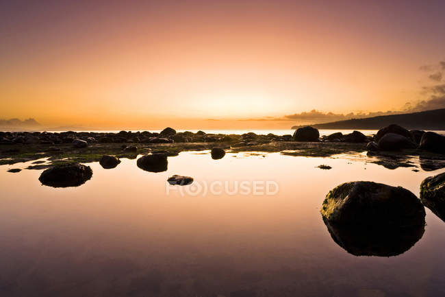Sombrio Beach tidepool at sunset in Pacific Ocean, Vancouver Island, British Columbia, Canada. — Stock Photo