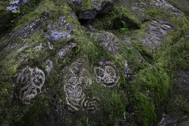 Oeuvre d'art pétroglyphes de Bella Coola en Colombie-Britannique, Canada — Photo de stock