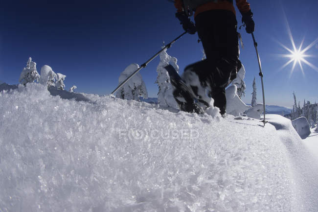 Vista en ángulo bajo del esquiador telemark esquiando en el backcountry de Red Mountain, Rossland, Columbia Británica, Canadá - foto de stock