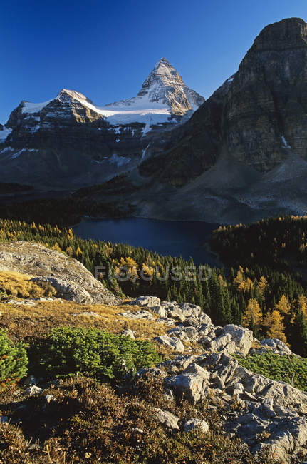 Monte Assiniboine en el valle del Parque Provincial Monte Assiniboine, Columbia Británica, Canadá . - foto de stock