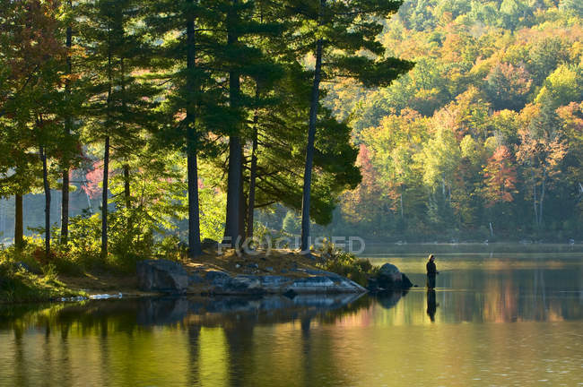 Fisherman in early morning, Lac Taylor, Gatineau National Park, Quebec, Canada — Stock Photo