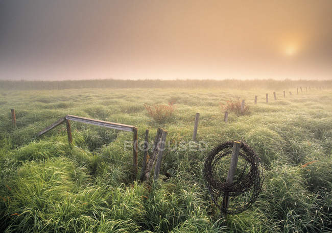 Sunrise over rural field near Rolly View, Alberta, Canada. — Stock Photo
